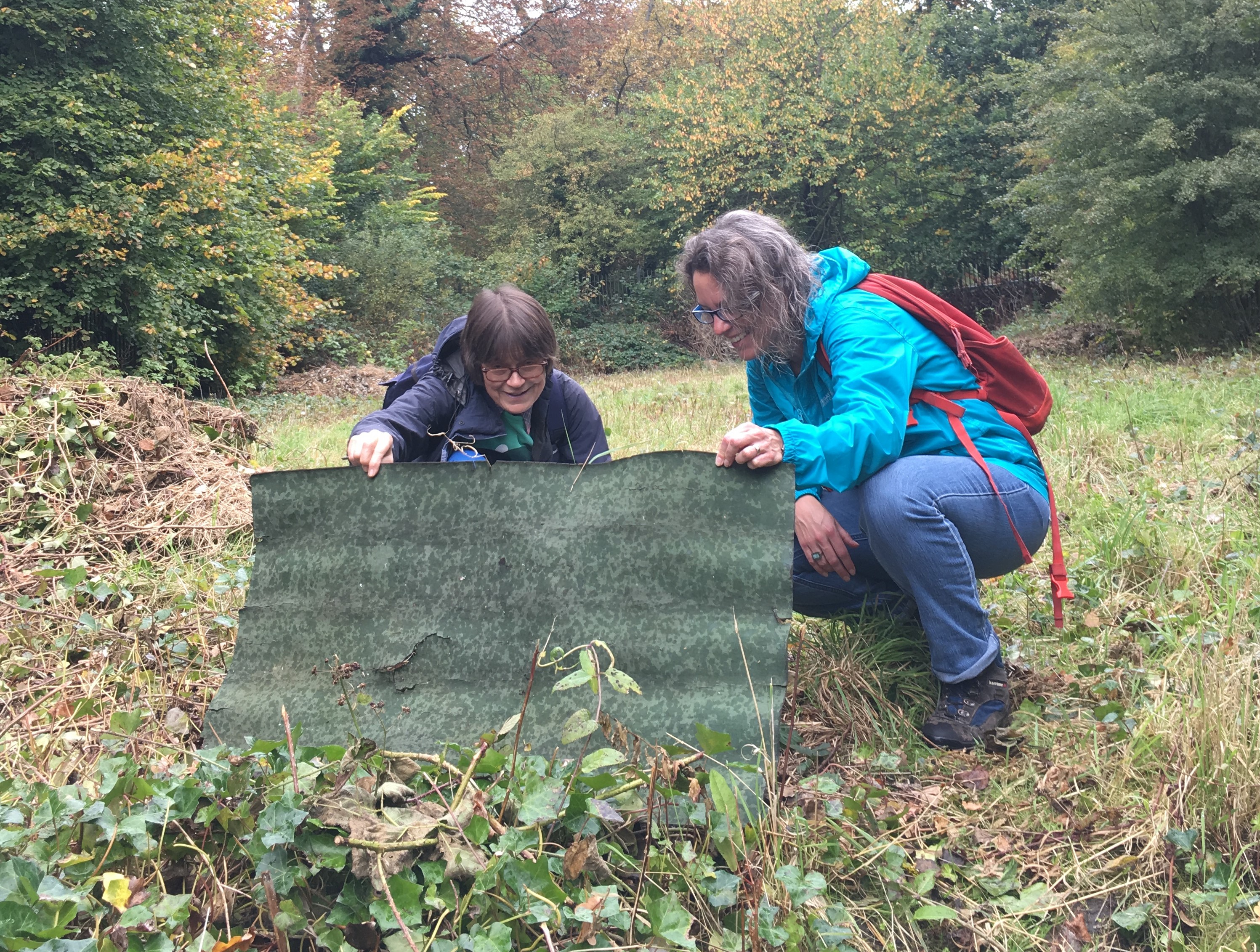 Checking reptile mats