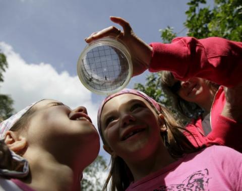 children examining insects on hampstead heath